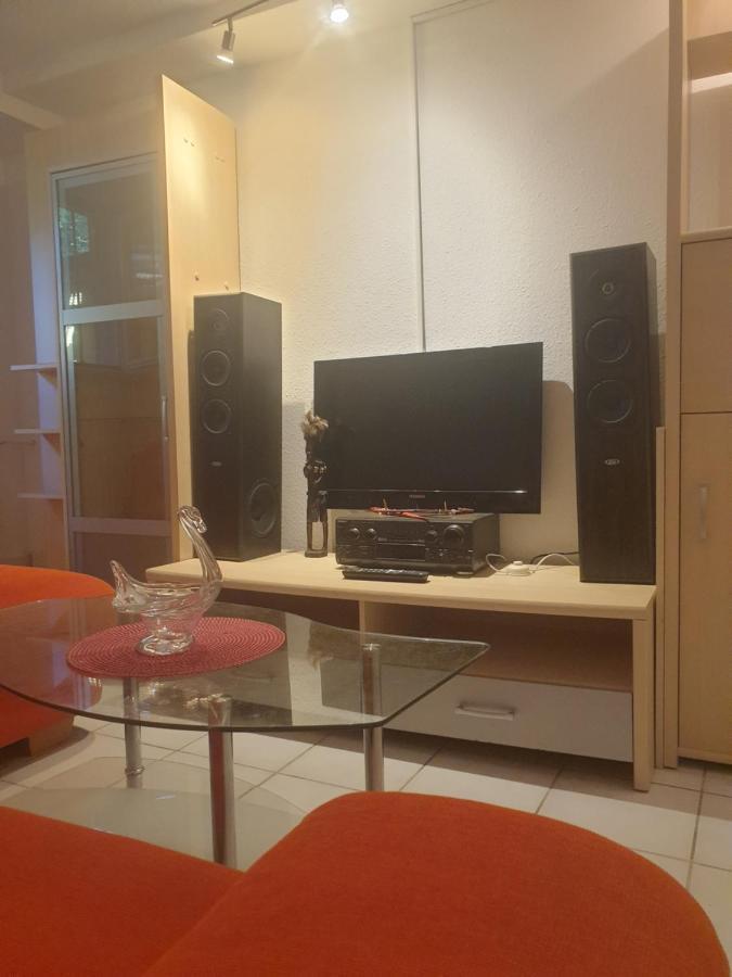 Sions Grosse Ferienwohnung Ferienwohnung Mit 3 Schlafzimmer, 2 Km Bis Zum Europapark Rust Kappel-Grafenhausen Buitenkant foto